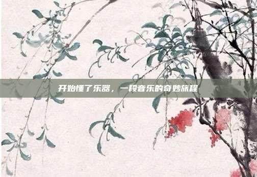 开始懂了乐器，一段音乐的奇妙旅程