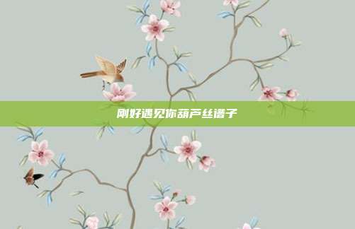 刚好遇见你葫芦丝谱子