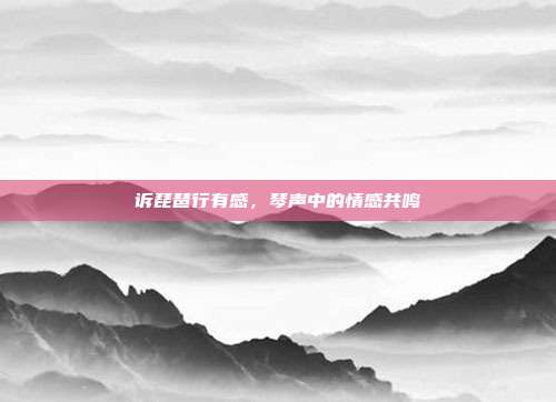 诉琵琶行有感,琴声中的情感共鸣