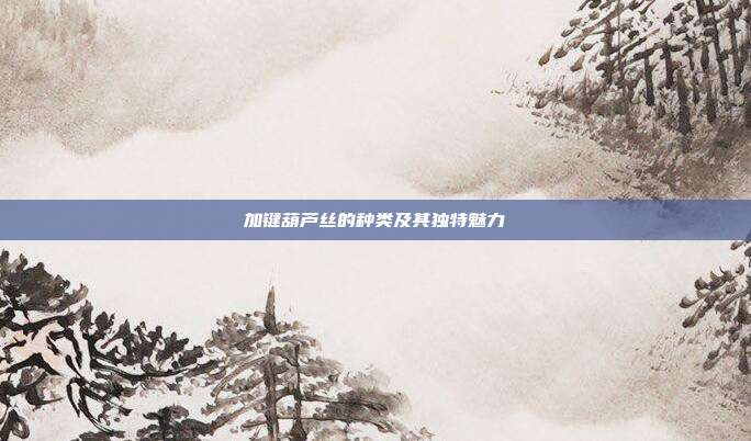 加键葫芦丝的种类及其独特魅力