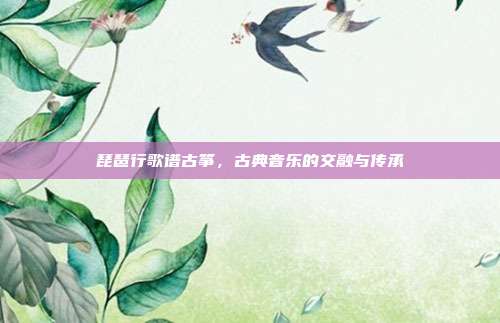 琵琶行歌谱古筝，古典音乐的交融与传承