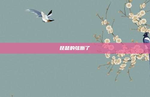 琵琶的弦断了