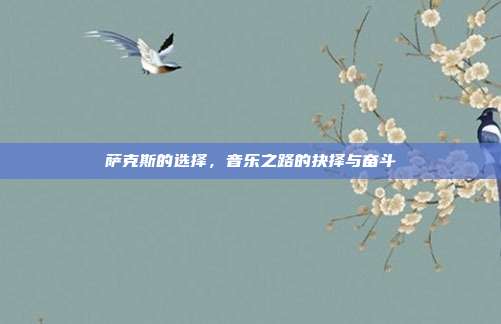 萨克斯的选择，音乐之路的抉择与奋斗