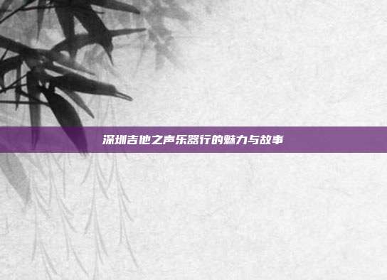 深圳吉他之声乐器行的魅力与故事