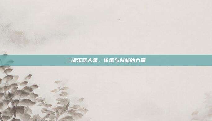 二胡乐器大师,传承与创新的力量