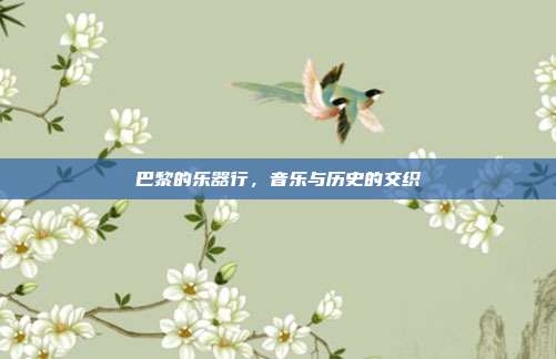 巴黎的乐器行，音乐与历史的交织