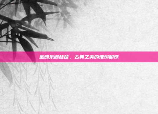 金韵乐器琵琶，古典之美的璀璨明珠