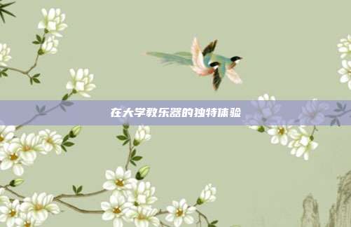 在大学教乐器的独特体验