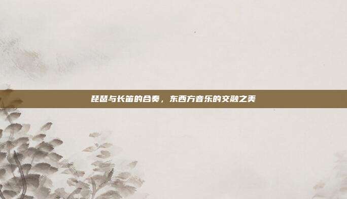 琵琶与长笛的合奏,东西方音乐的交融之美