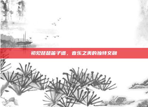 初见琵琶笛子谱,音乐之美的独特交融