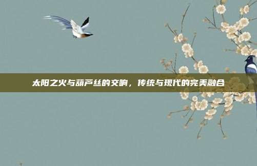 太阳之火与葫芦丝的交响,传统与现代的完美融合