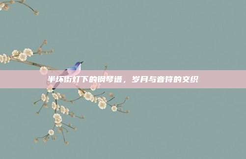 半坏街灯下的钢琴谱,岁月与音符的交织