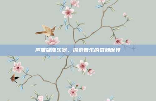 声宝旋律乐器,探索音乐的奇妙世界