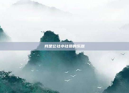 我是公社小社员的乐器