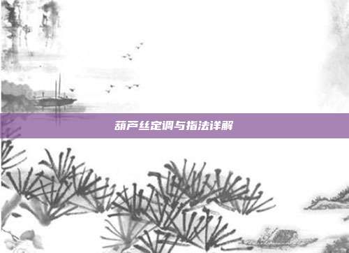葫芦丝定调与指法详解