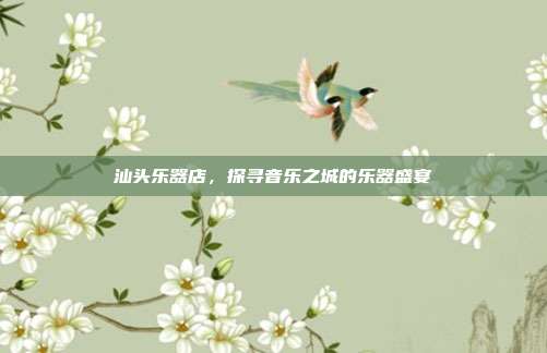 汕头乐器店,探寻音乐之城的乐器盛宴