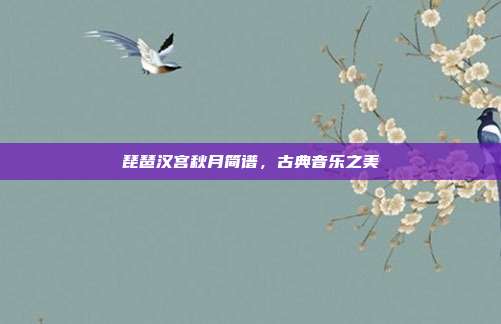 琵琶汉宫秋月简谱,古典音乐之美