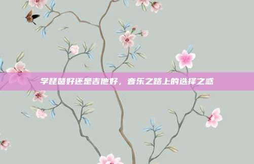 学琵琶好还是吉他好,音乐之路上的选择之惑