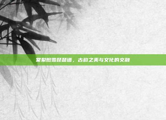 棠梨煎雪琵琶谱,古韵之美与文化的交融