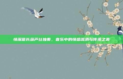 情深意长葫芦丝独奏,音乐中的情感流淌与传承之美