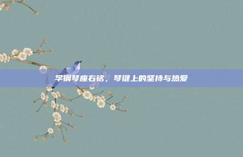 学钢琴座右铭,琴键上的坚持与热爱