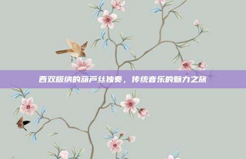 西双版纳的葫芦丝独奏,传统音乐的魅力之旅