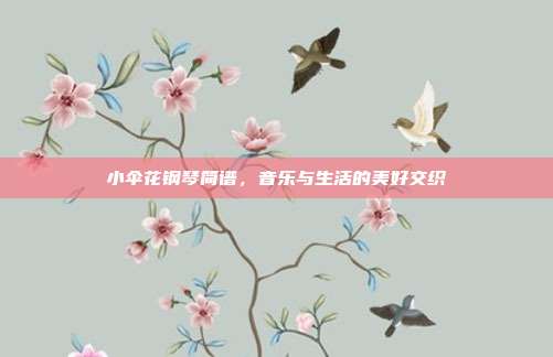 小伞花钢琴简谱,音乐与生活的美好交织