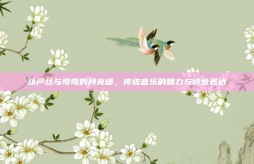 葫芦丝与弯弯的月亮谱,传统音乐的魅力与诗意表达