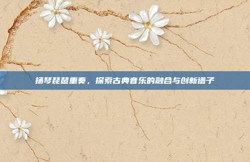 扬琴琵琶重奏,探索古典音乐的融合与创新谱子