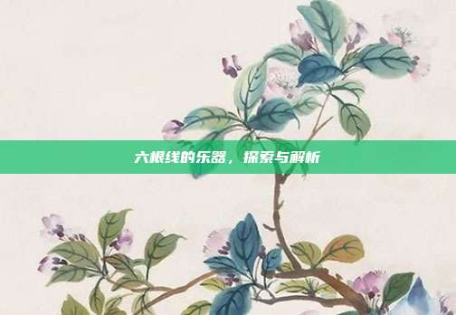 六根线的乐器，探索与解析