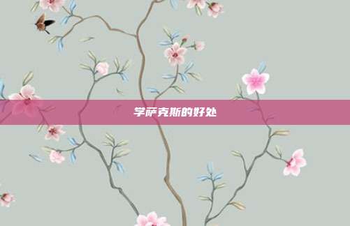 学萨克斯的好处