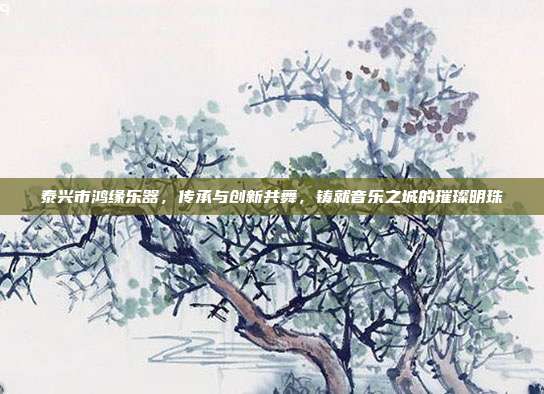 泰兴市鸿缘乐器,传承与创新共舞,铸就音乐之城的璀璨明珠