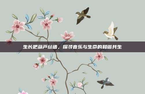 生长吧葫芦丝谱,探寻音乐与生命的和谐共生