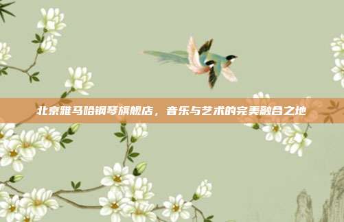 北京雅马哈钢琴旗舰店,音乐与艺术的完美融合之地
