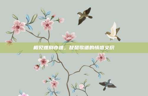 相见难别亦难,琵琶歌谱的情感交织