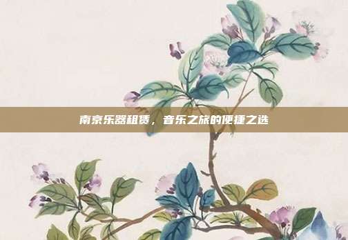 南京乐器租赁，音乐之旅的便捷之选