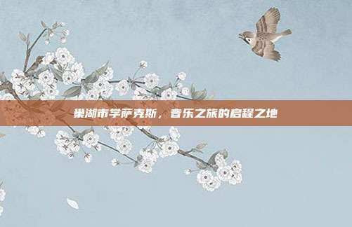 巢湖市学萨克斯,音乐之旅的启程之地