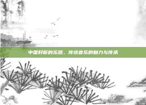 中国好听的乐器,传统音乐的魅力与传承