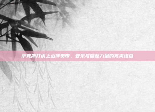 萨克斯打虎上山伴奏带，音乐与自然力量的完美结合