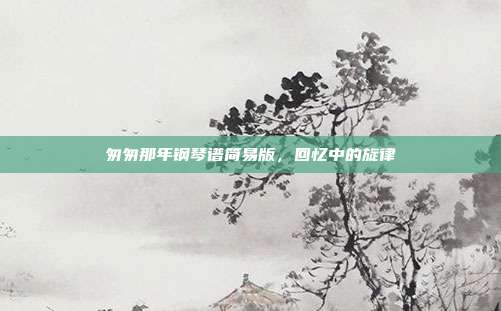 匆匆那年钢琴谱简易版,回忆中的旋律
