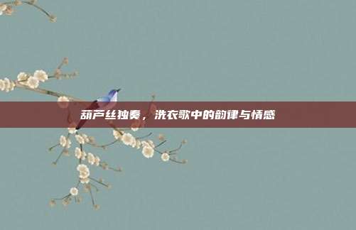葫芦丝独奏,洗衣歌中的韵律与情感