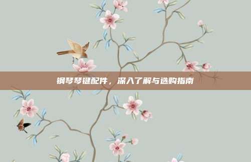 钢琴琴键配件,深入了解与选购指南