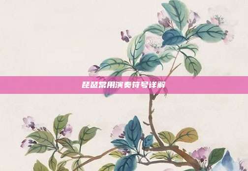 琵琶常用演奏符号详解