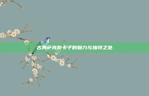 古典萨克斯卡子的魅力与独特之处