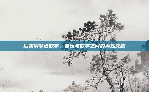 后来钢琴谱数字,音乐与数字之间的美妙交融