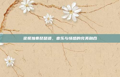梁祝独奏琵琶谱，音乐与情感的完美融合
