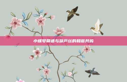 小螺号简谱与葫芦丝的和谐共鸣