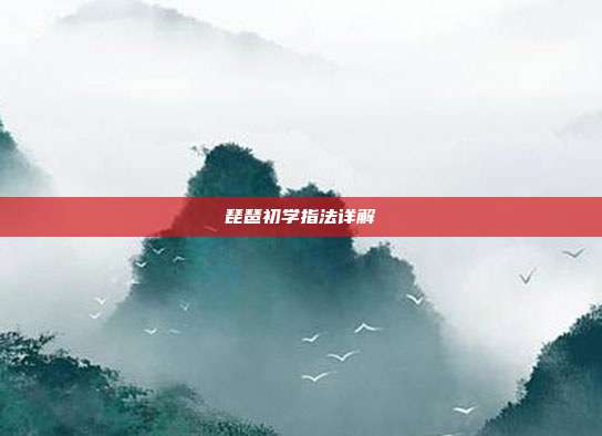 琵琶初学指法详解