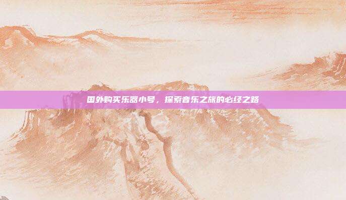 国外购买乐器小号，探索音乐之旅的必经之路
