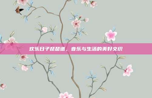 欢乐日子琵琶谱,音乐与生活的美好交织